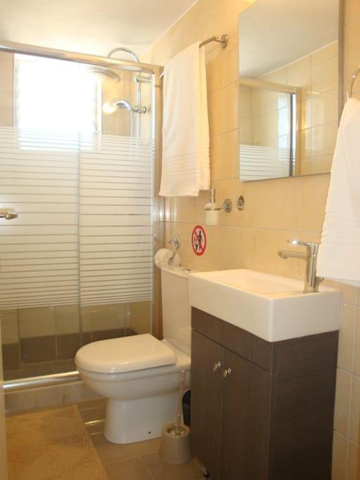 Apartment Centre Penthouse With Seaview
